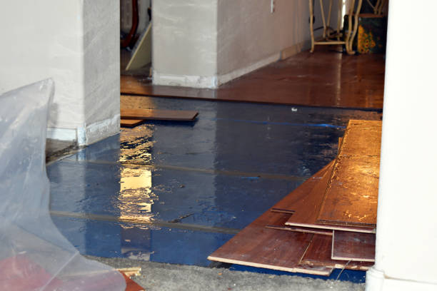 Professional Burst Pipe Cleanup technician working in Bloomingdale, IL